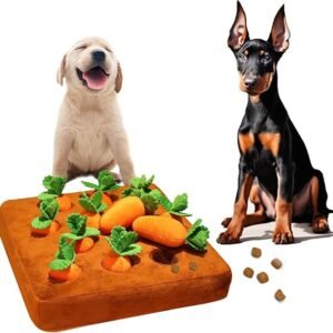12 Squeaky Carrots — Interactive Toy for Dogs